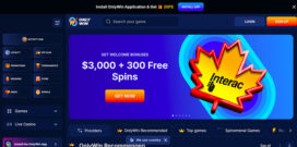 OnlyWin Casino